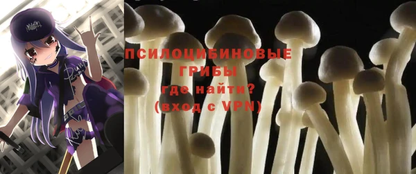 крисы Богданович