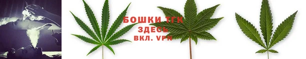 таблы Богородицк
