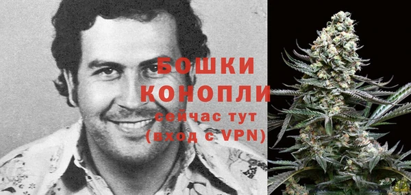 крисы Богданович
