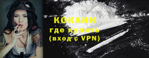 таблы Богородицк