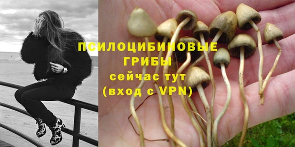 крисы Богданович