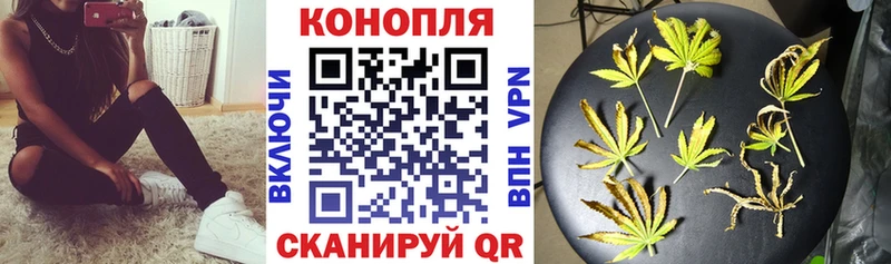 Бошки Шишки планчик  что такое   Салават 